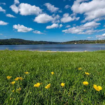 Riviera 504-4 Lipno *