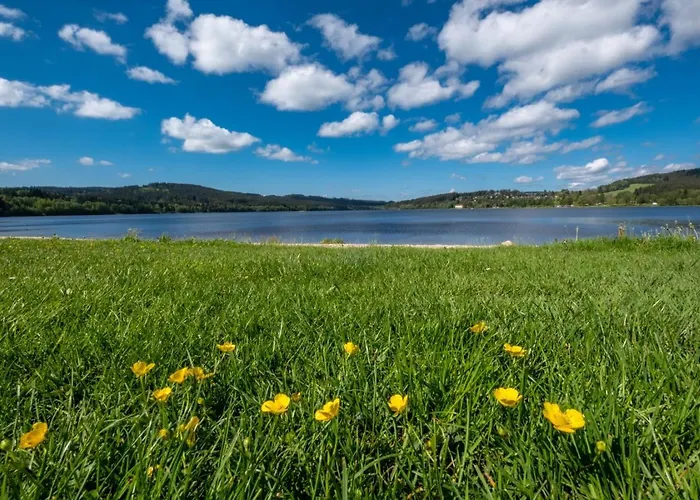 Riviera 504-4 Lipno *